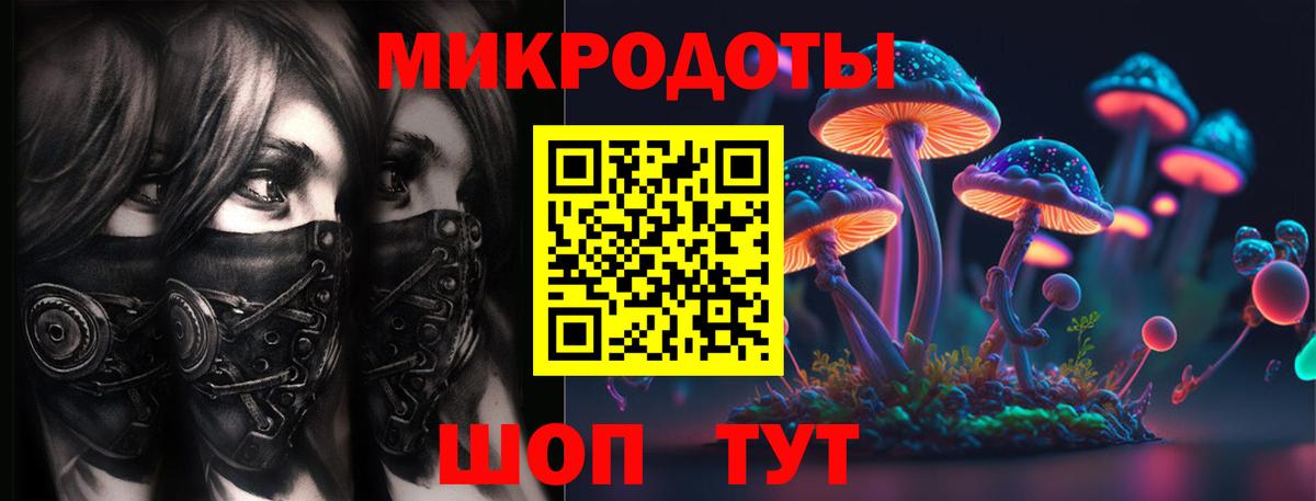 где продают наркотики  Вход с VPN  Северобайкальск  Псилоцибиновые грибы Cubensis 